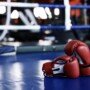 Finding the Ideal Boxing Gloves for In-Ring Training